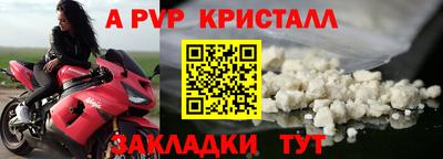 спайс Кинель
