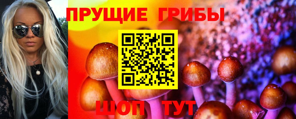 Камышлов  наркотики  Псилоцибиновые грибы мухоморы  Вход с VPN  Галлюциногенные грибы прущие грибы 